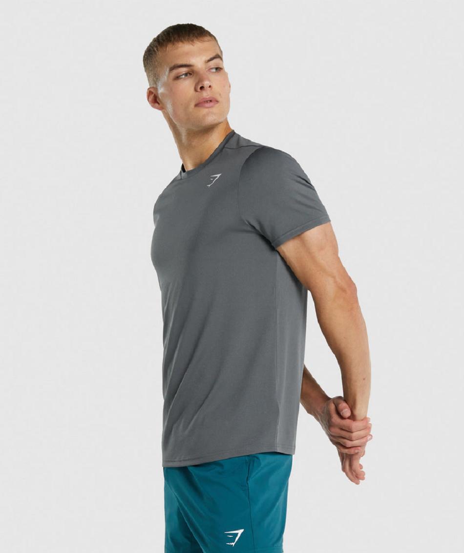 T Shirts Męskie Gymshark Arrival Regular Fit Szare | PL 3868ILH